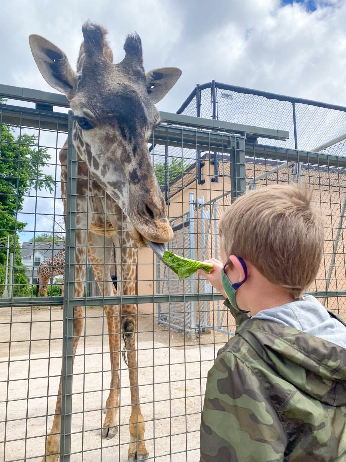 6 Zoos & Petting Farms Around Milwaukee (2023) Milwaukee with Kids