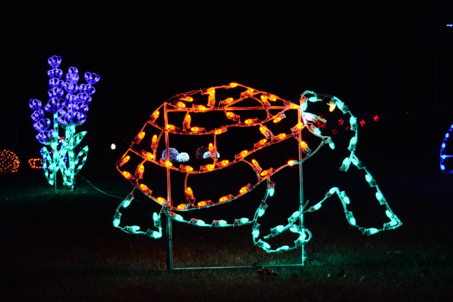 17 Best Milwaukee Holiday Lights Displays (2021) Milwaukee with Kids