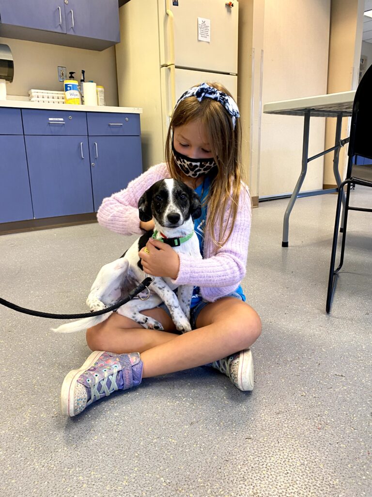Wisconsin Humane Society Racine Campus Milwaukee with Kids