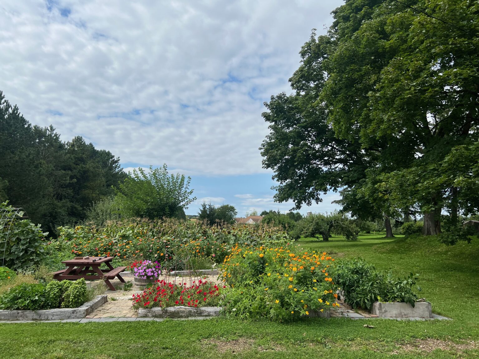 10 Best Places To Go Apple Picking Around Milwaukee (2023)