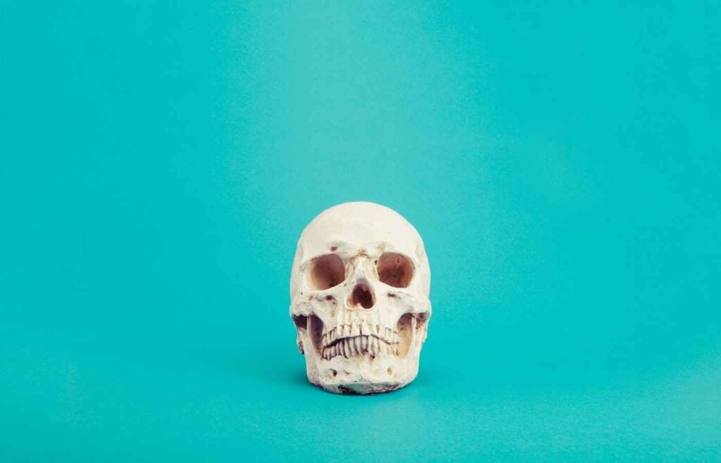 Skull against teal blue background
