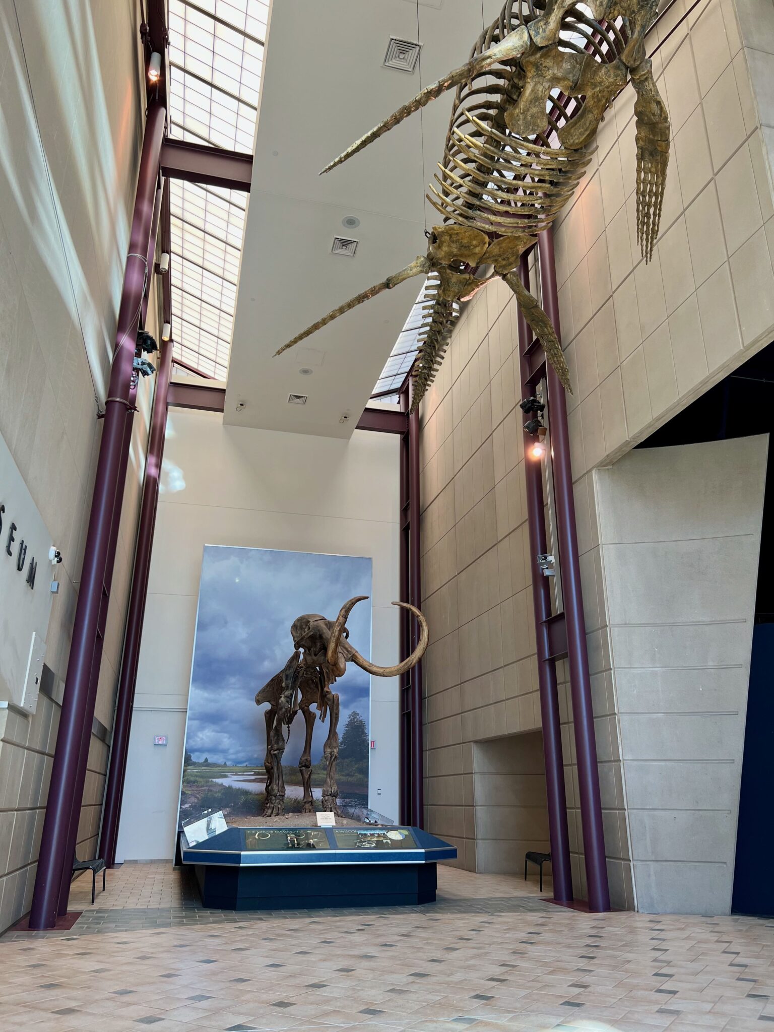 Milwaukee Public Museum: Must-See Exhibits &amp; Pro Tips - Milwaukee With Kids