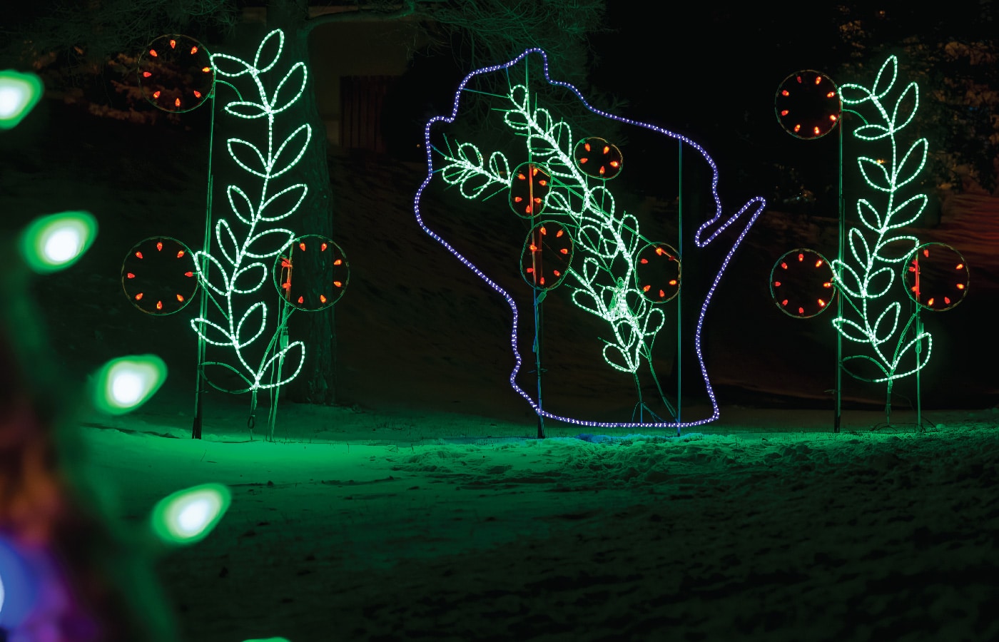 15 Best Milwaukee Holiday Lights Displays (Updated for 2023