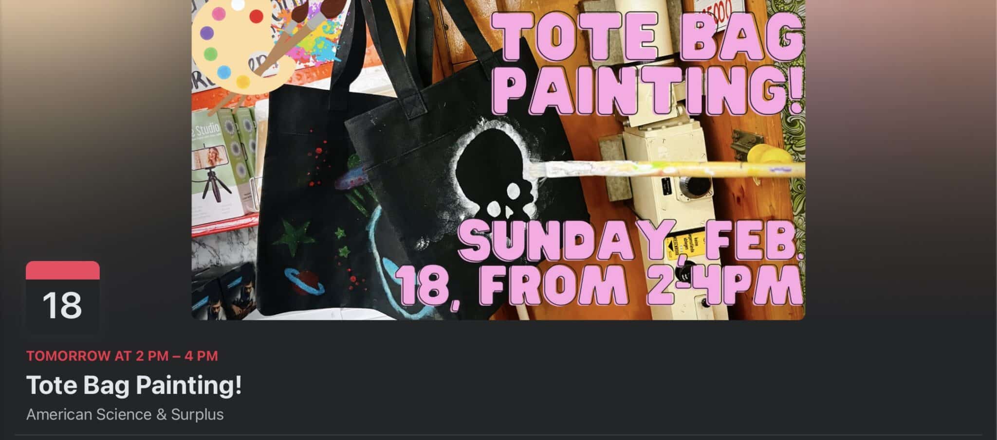 Paint Your Own Tote Bags Activity at the Science and Surplus Store