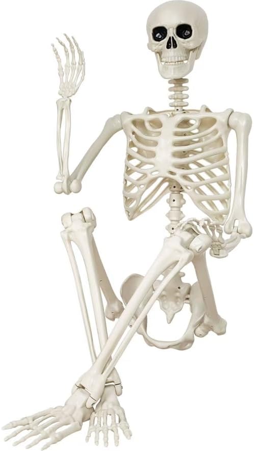 A sitting Halloween skeleton decoration for the home
