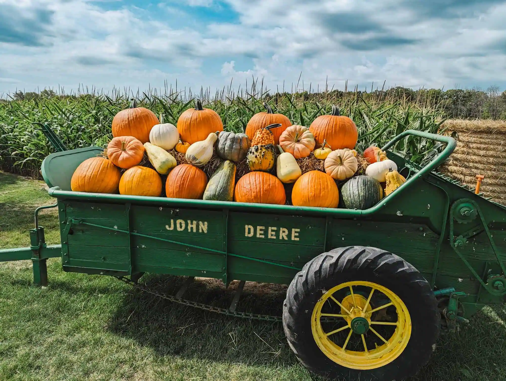 Pumpkins and gourds piled in a green farm wagon in front of a cornfield