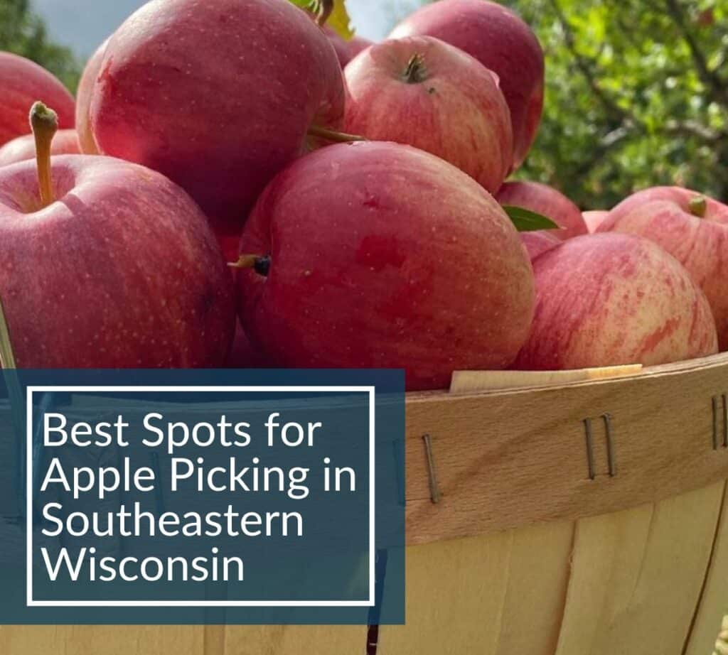 Basket of freshly picked red apples in Southeastern Wisconsin with text overlay “Best Spots for Apple Picking in Southeastern Wisconsin.