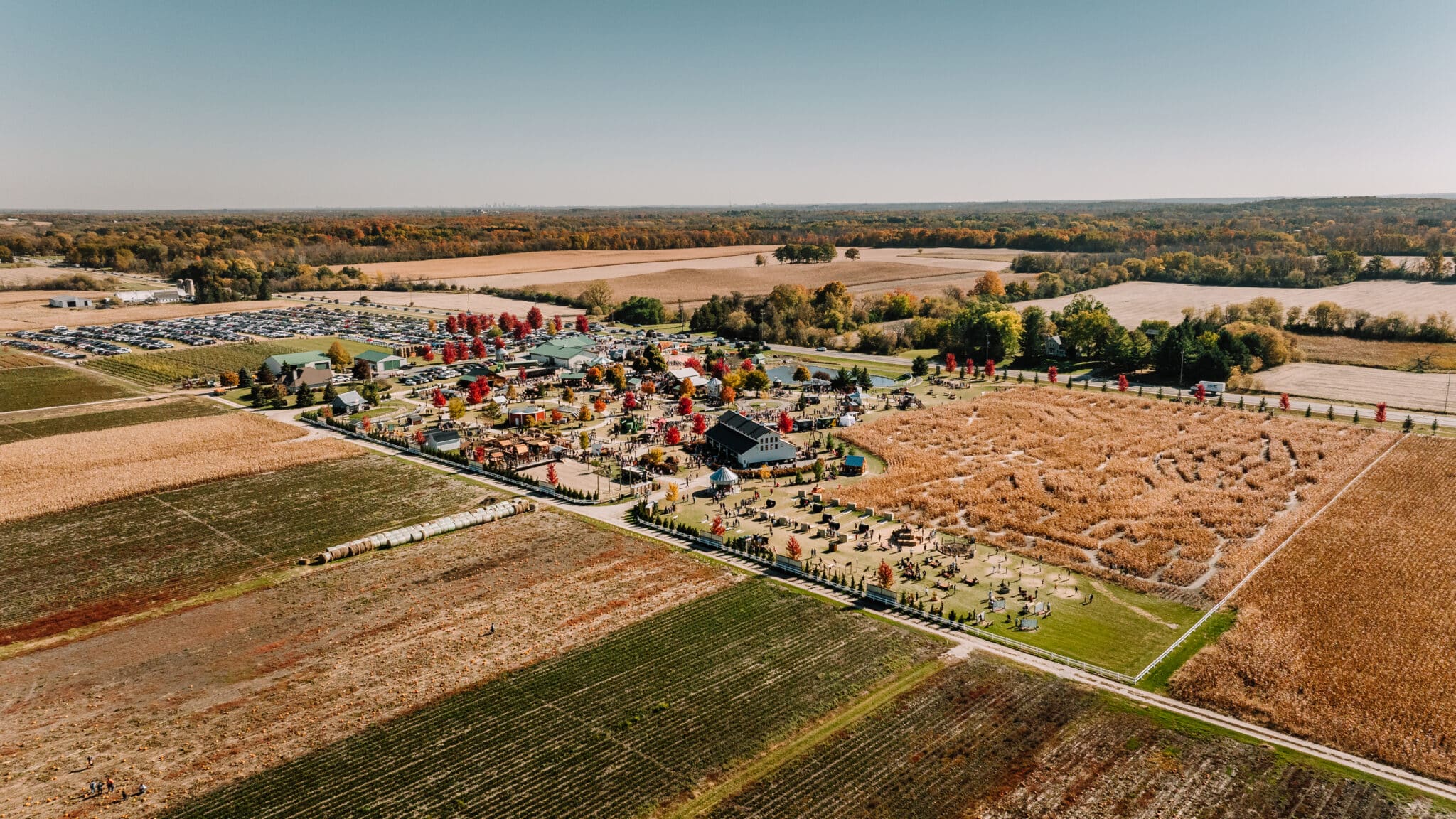 Aerial done shot of Basses Taste of Country Pumpkin Farm and corn maze in Colgate Wisconsin