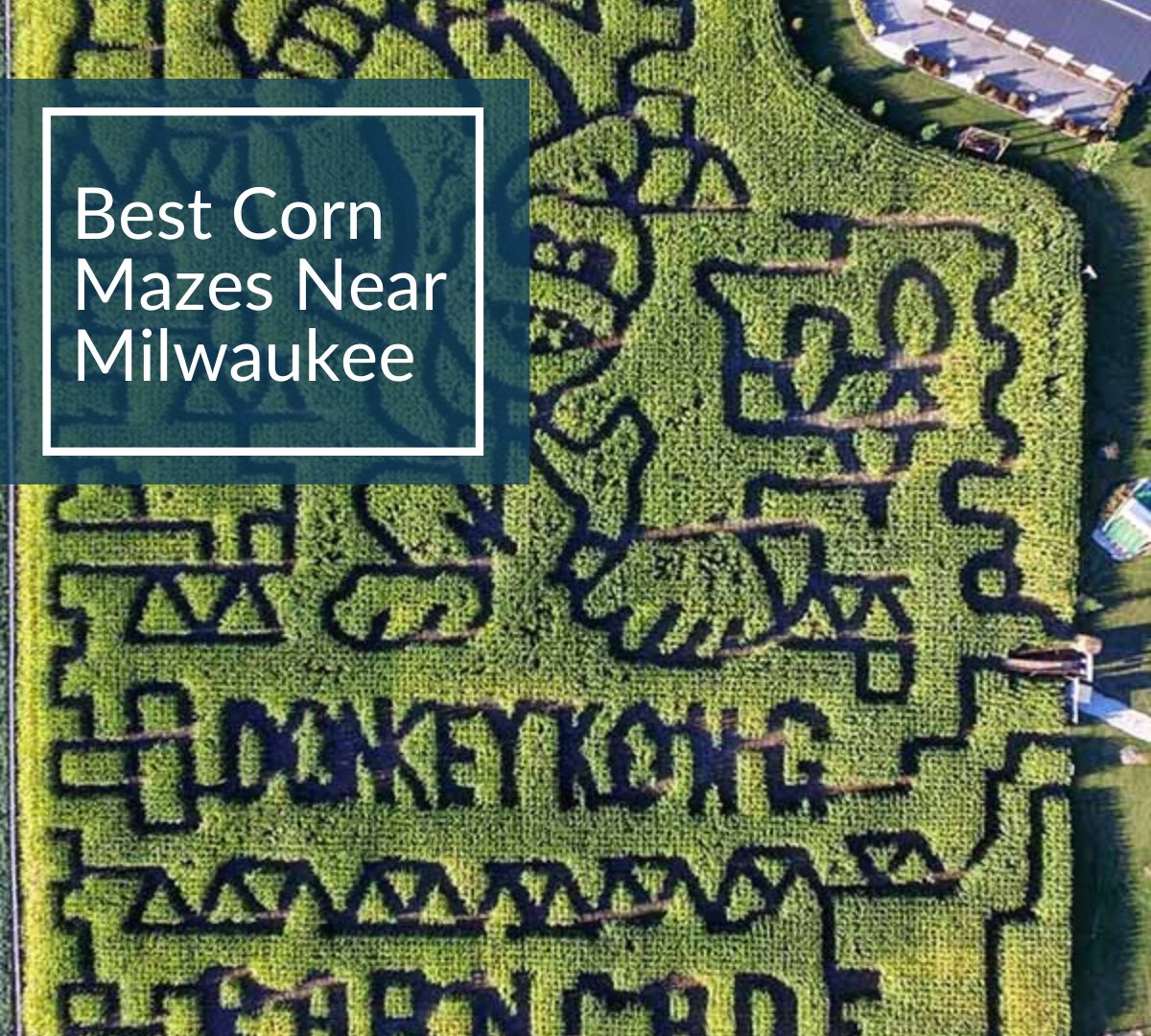 Aerial view of a large corn maze near Milwaukee designed with a Donkey Kong theme, showcasing detailed pathways and creative patterns carved into the field.
