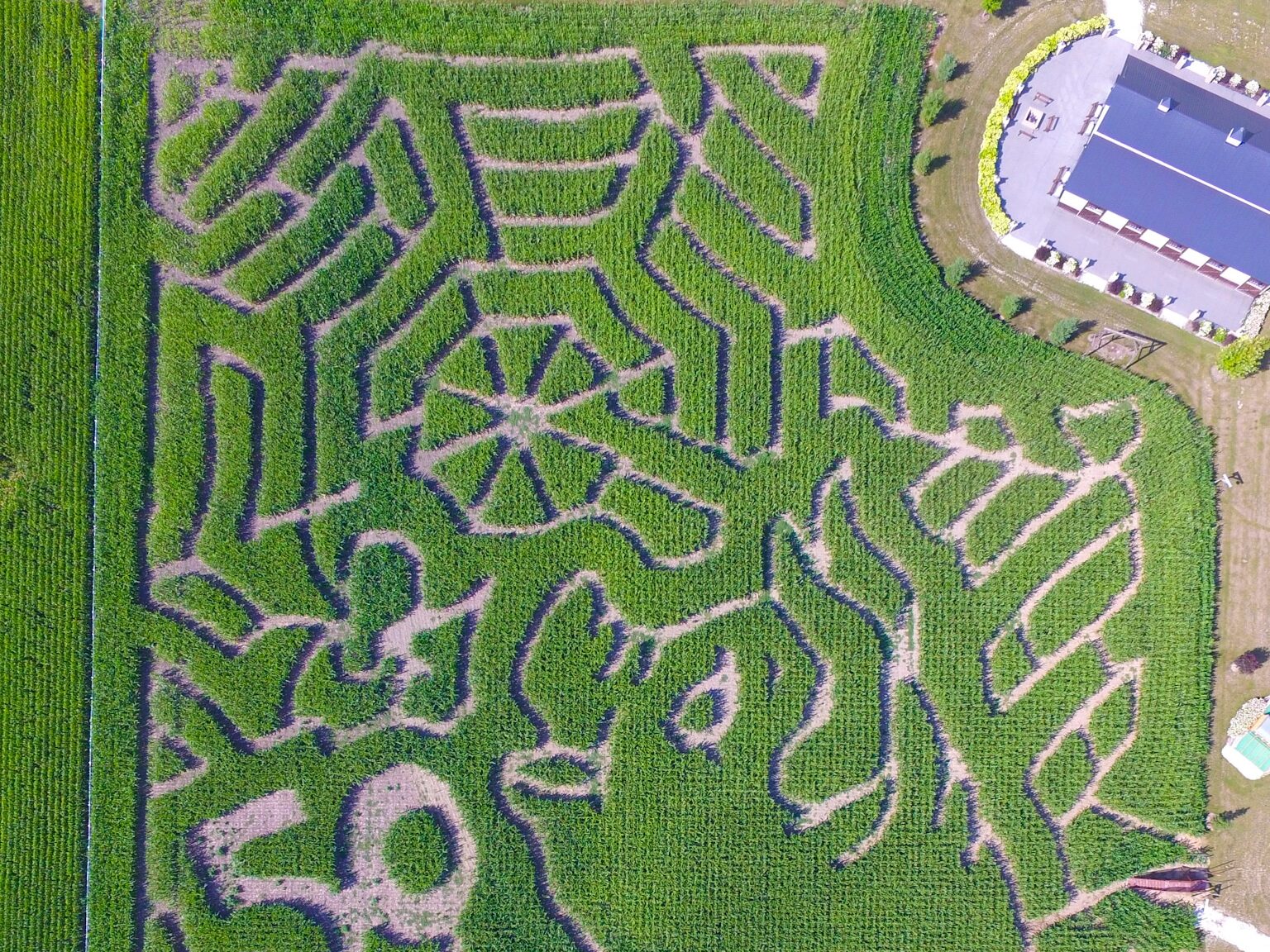 Charlotte's Web themed corn maze at Basses's Farm in Colgate