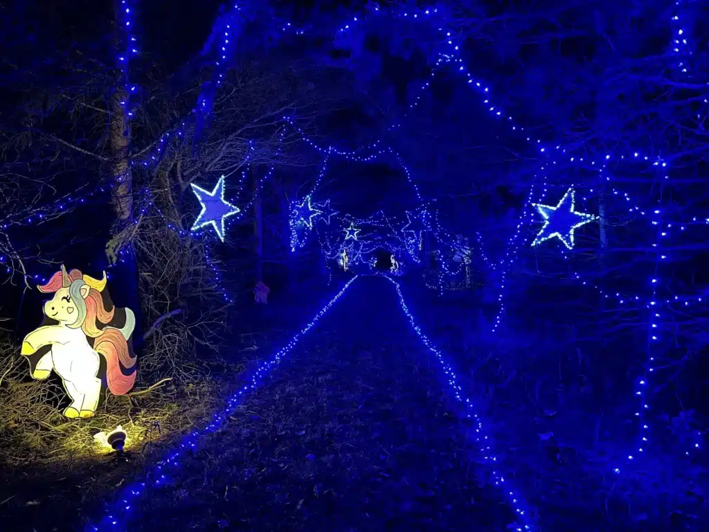 Illuminated trail at Bear Paw Adventure Park in Caledonia - glowing stars and an illuminate unicorn.