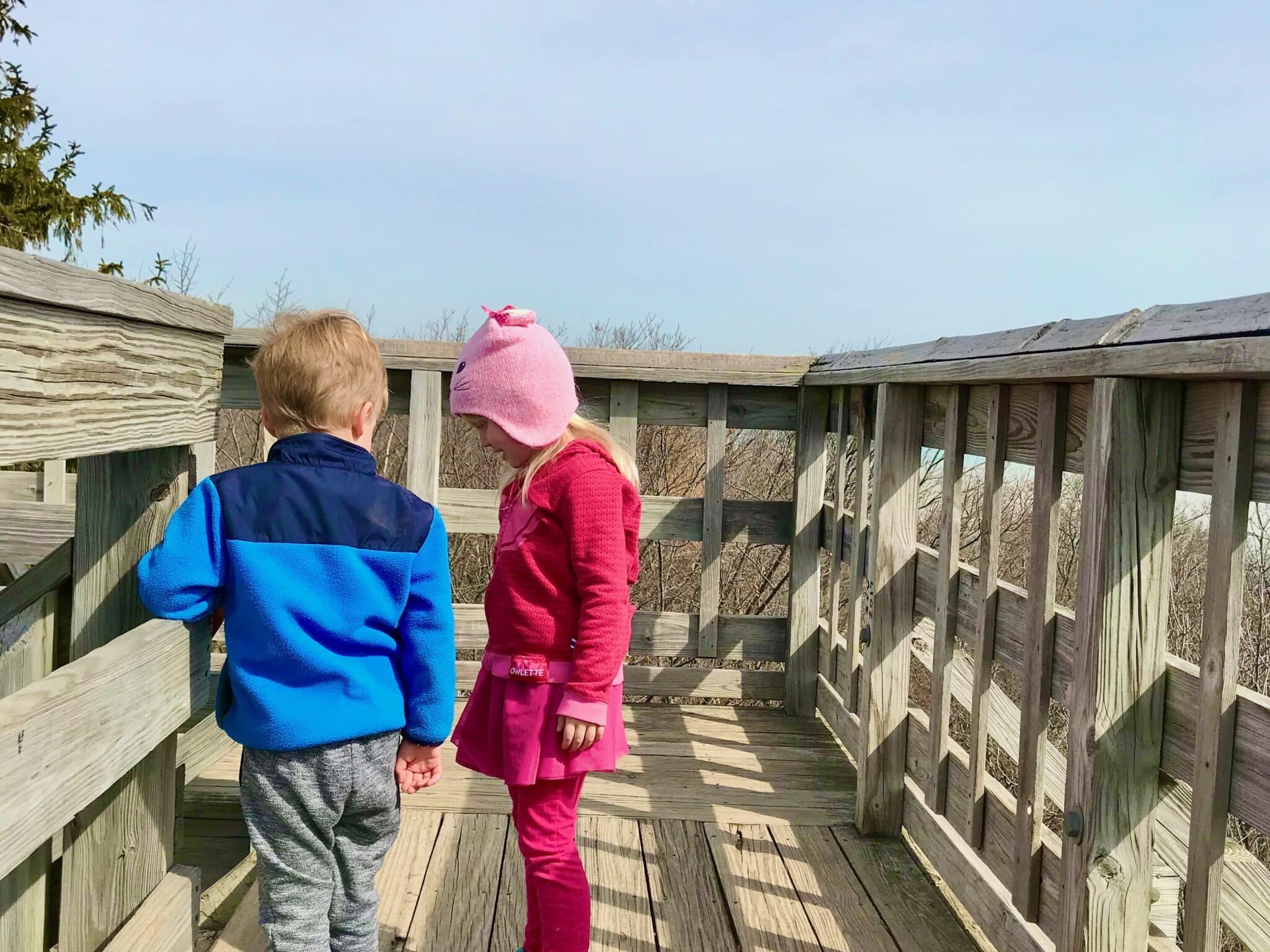 Two young children standing on a wooden observation deck  at the Schlitz Audubon Nature Center