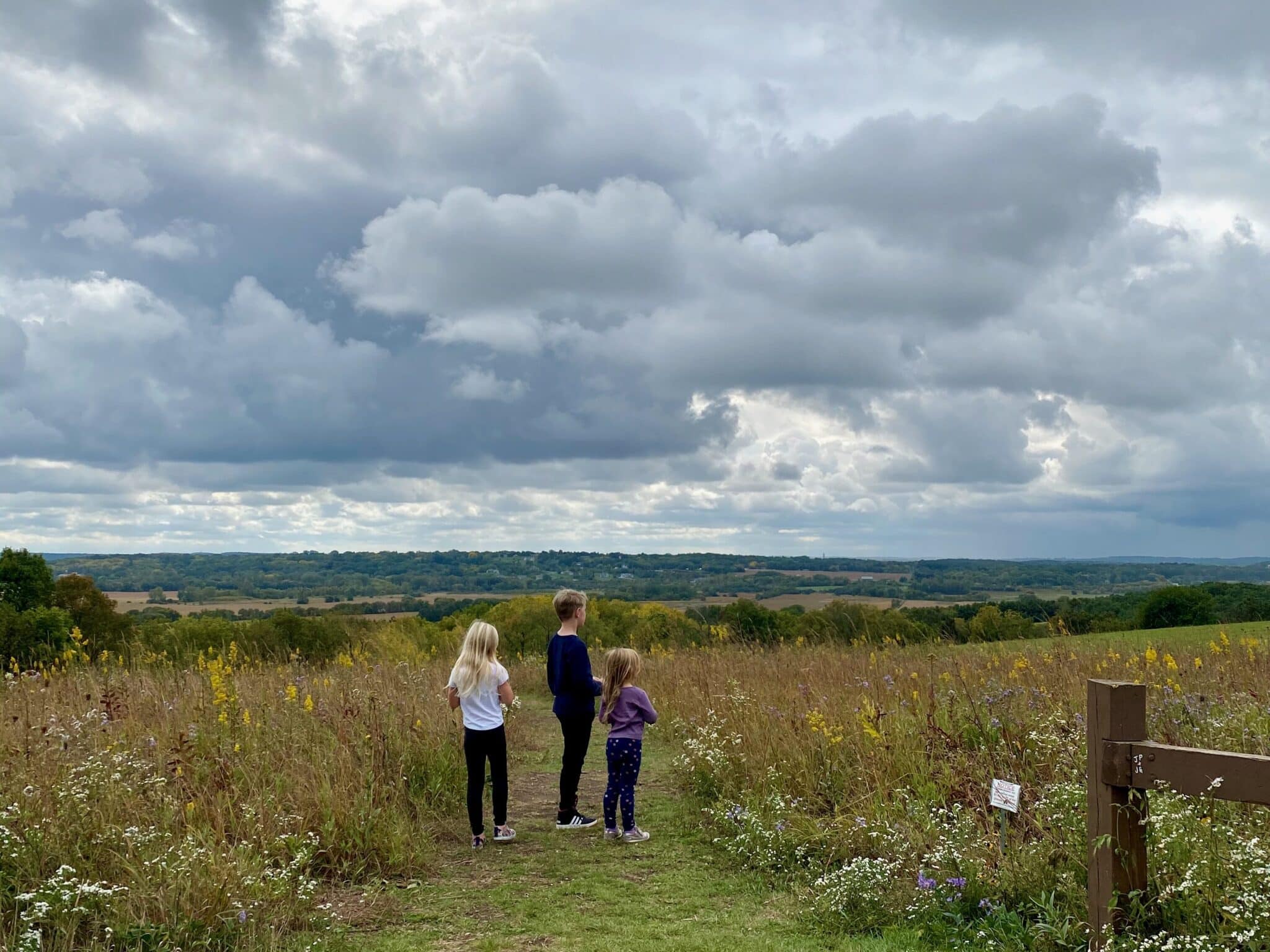 Meadow on an outcast day at the Retzer Nature Center at Waukesha Wisconsin