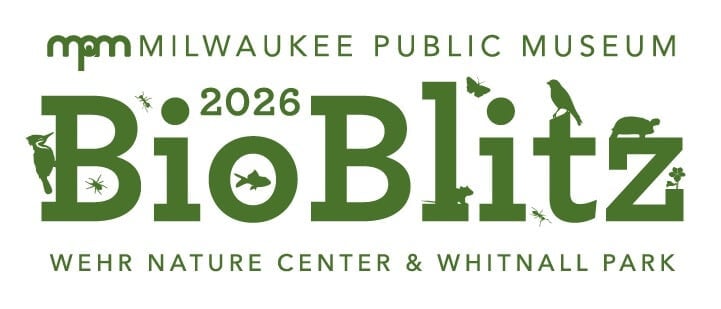 Milwaukee Public Museum’s BioBlitz at Wehr Nature Center (Franklin)