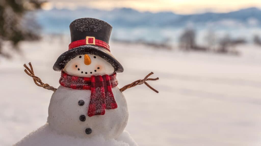 Snownman with carrot nose and red scarf - miscellaneaous winter trivia for children