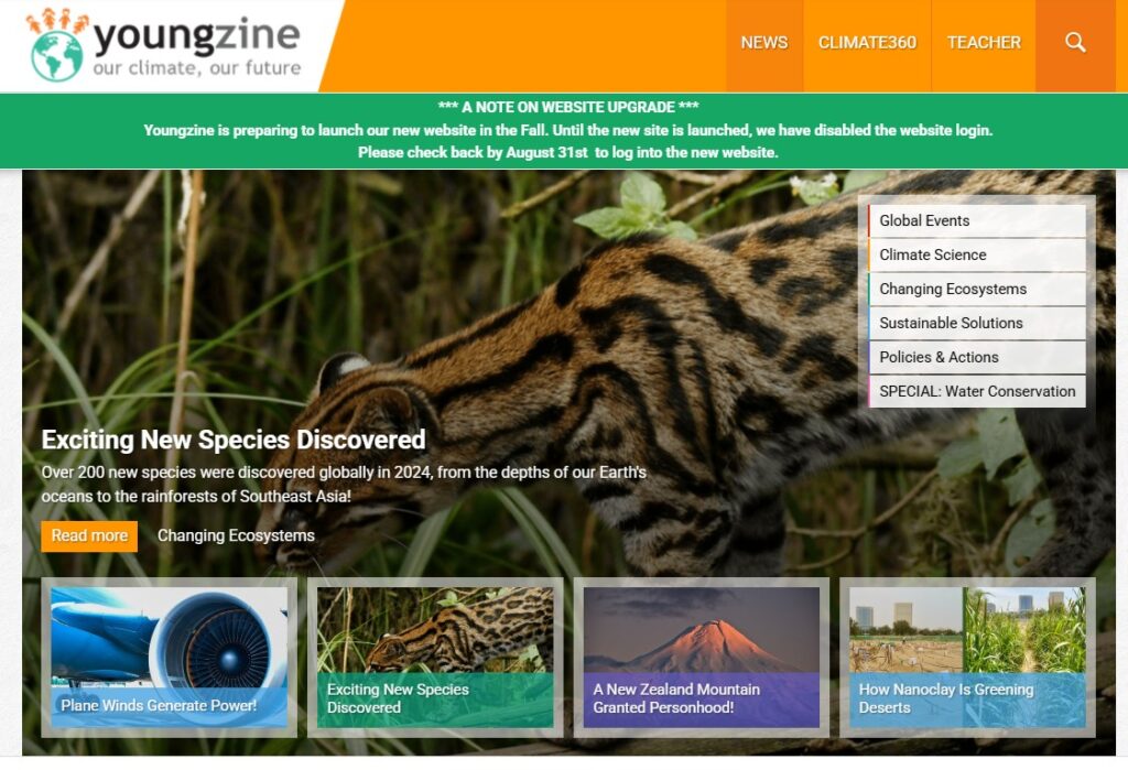 Image of the Youngzine landing page featuring a young wild cat