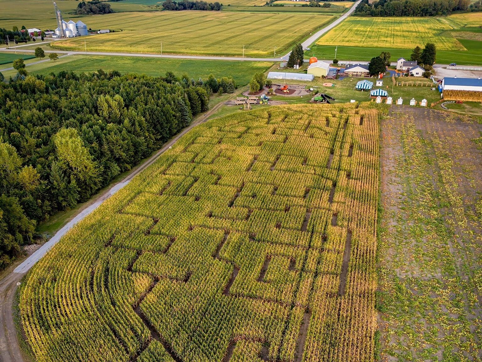 Swan's Pumpkin Farm corn maze 2024 Franksville Wisconsin Aaron Johnson