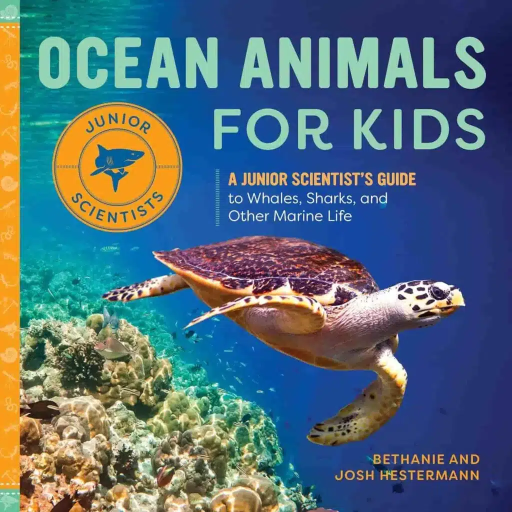 Book cover of “Ocean Animals for Kids” – engaging marine life profiles and facts to inspire ocean exploration.