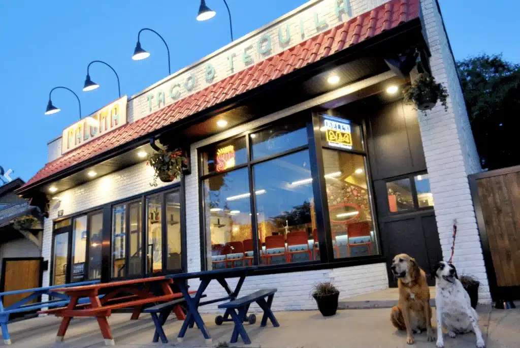 Paloma Taco & Tequila restaurant exterior with patio benches and two dogs.