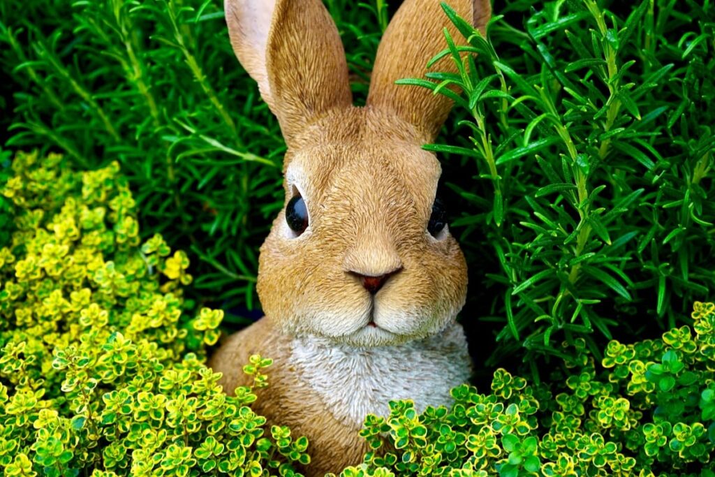 Baby name inspiration — gentle brown bunny in a spring meadow representing rabbit and hare meanings.