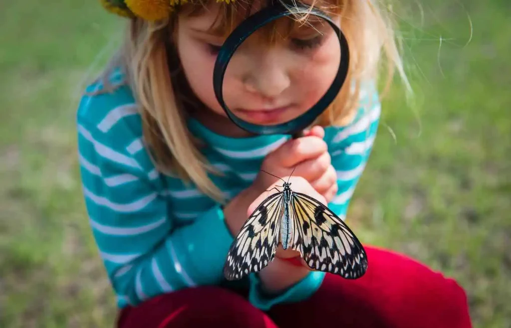 Child observing a butterfly closely through a magnifying glass outdoors.