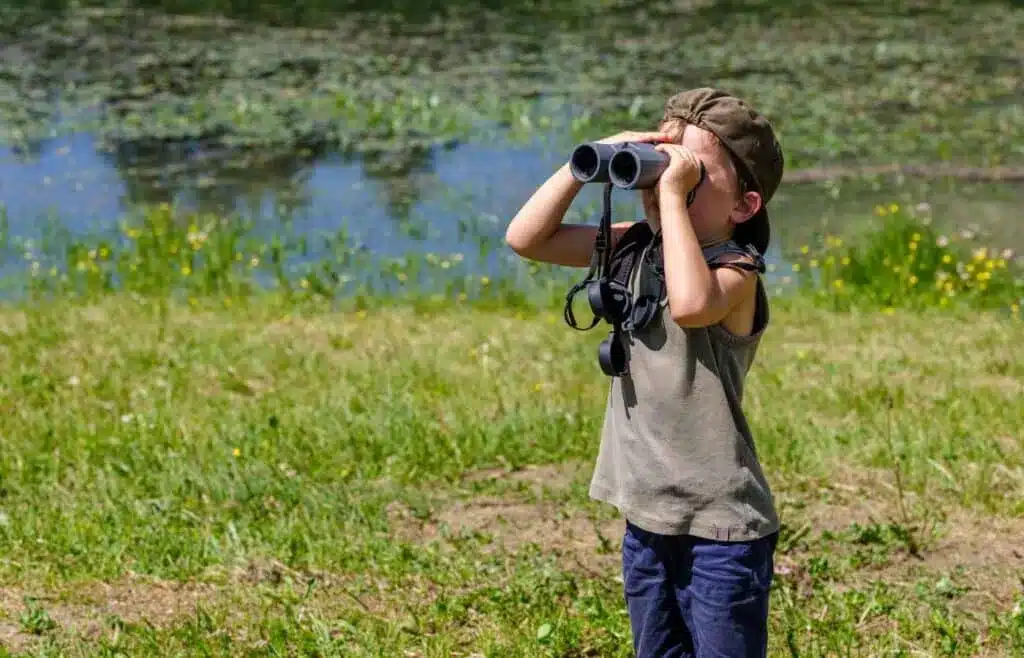 Child using binoculars to watch birds near a pond while camping.