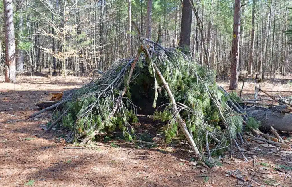 Stick lean-to shelter built from branches in a forest camping area.