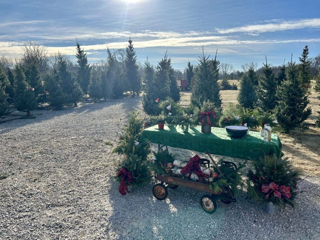 A table with green table cloth, Christmas decor and a wagon with logs at Choose & Cut Christmas Trees in Muskego