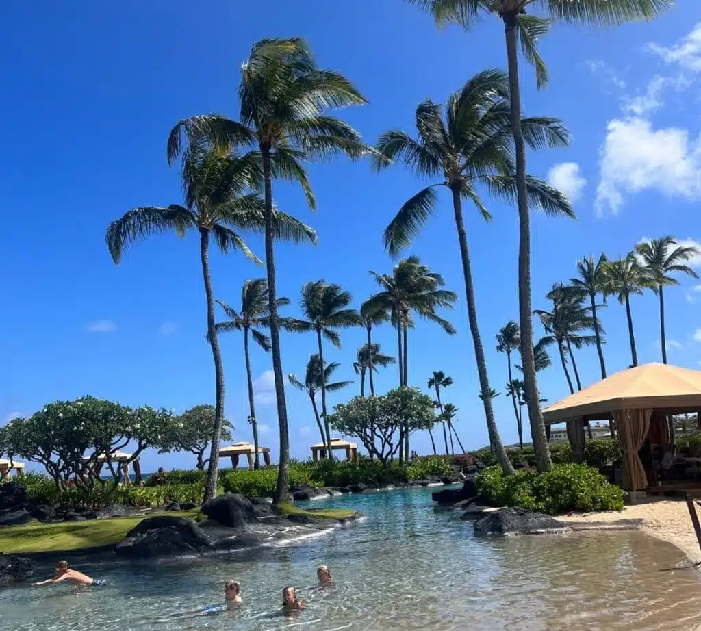 Kids playing in the pool that is surrounded by tall coconut trees