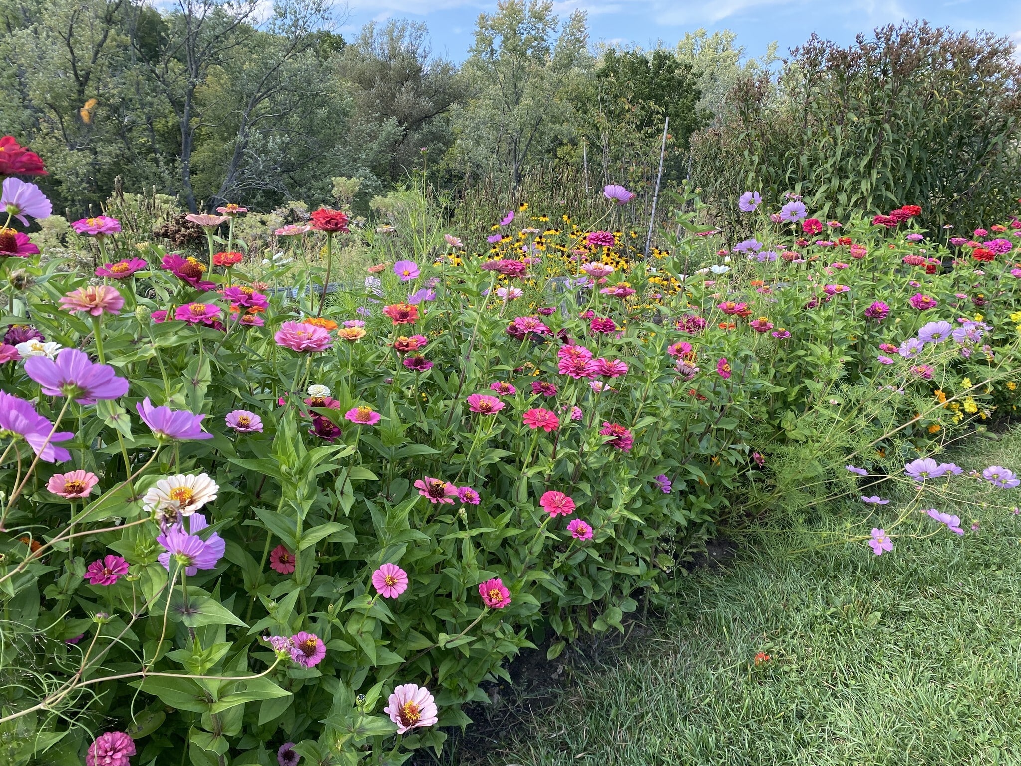 A Half Day of Awareness at Retzer Nature Center (Waukesha)