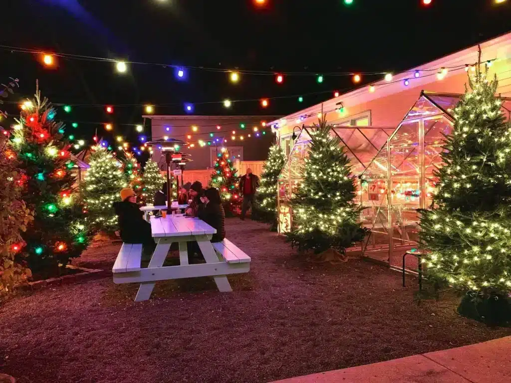 A family habing snacks on white park bench surrounded by Christmas trees and overhead string lights