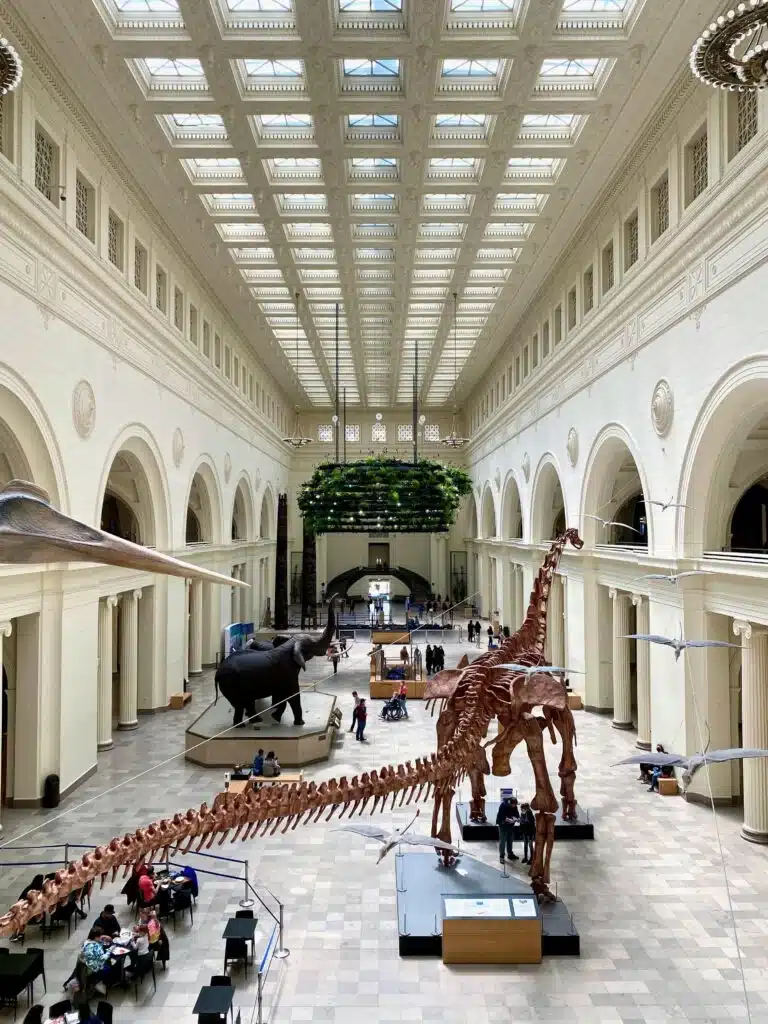 Grand main hall of Field Museum in Chicago, with towering skeleton of Máximo the Titanosaur, flying pterosaur models, and a large mammoth display.