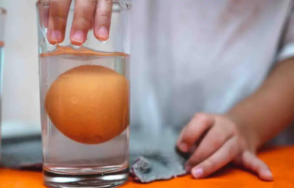A child dips an egg into a glass of water during a science experiment.