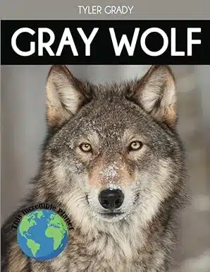 Book cover of “Gray Wolf” by Tyler Grady – an engaging nonfiction introduction to wolf behavior and habitats for young readers.