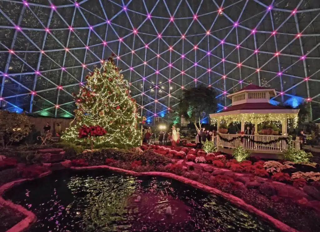 Interior of Mitchell Park Domes with Christmas themed gazebo and a traditional Christmas tree.