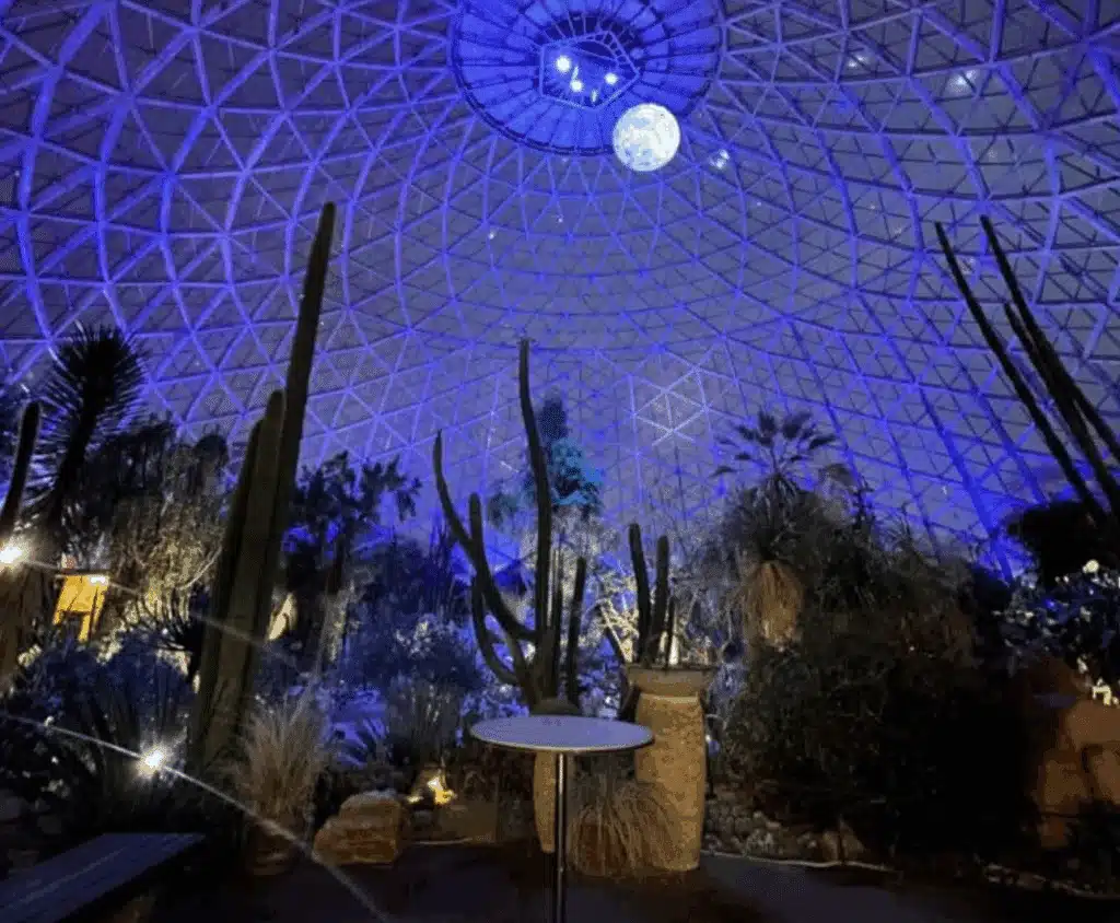 Saguaro cactus and other desert plants inside The Dome in Milwaukee