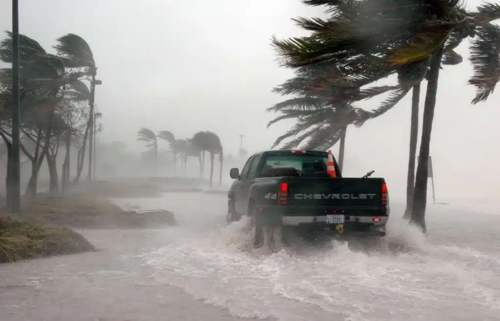 Truck driving through flooding and strong hurricane winds with bending palm trees.
