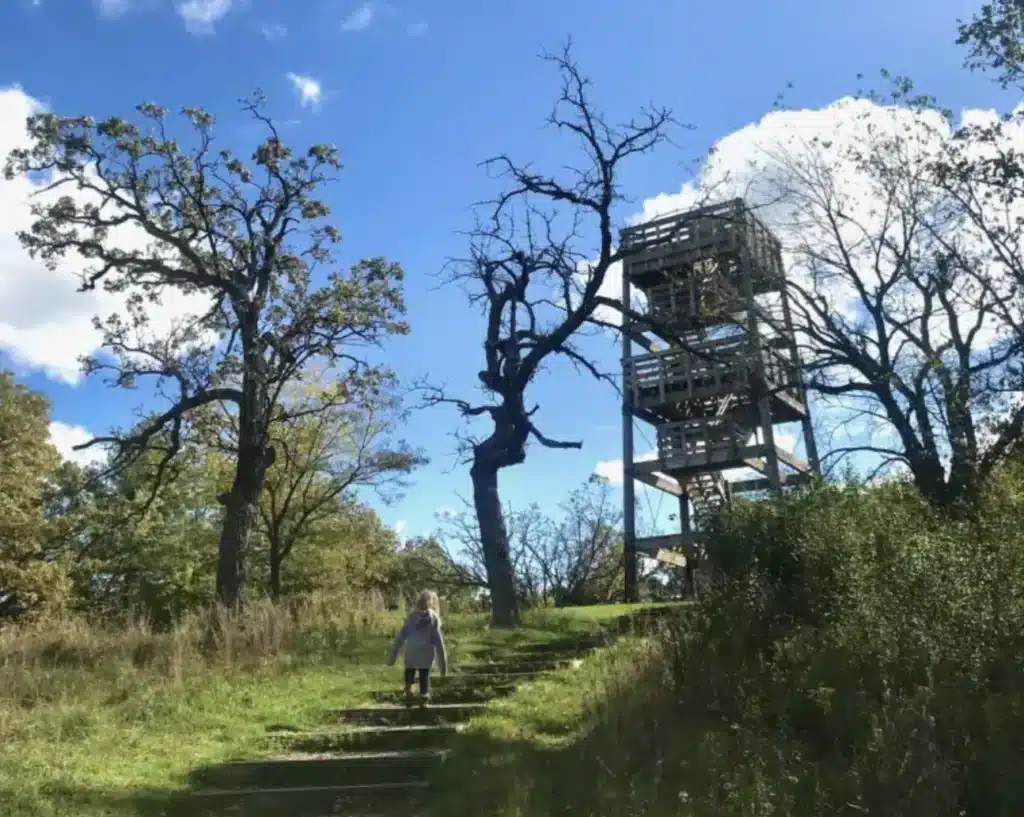 A small girl walking to the observation tower with three tall trees ion front of it