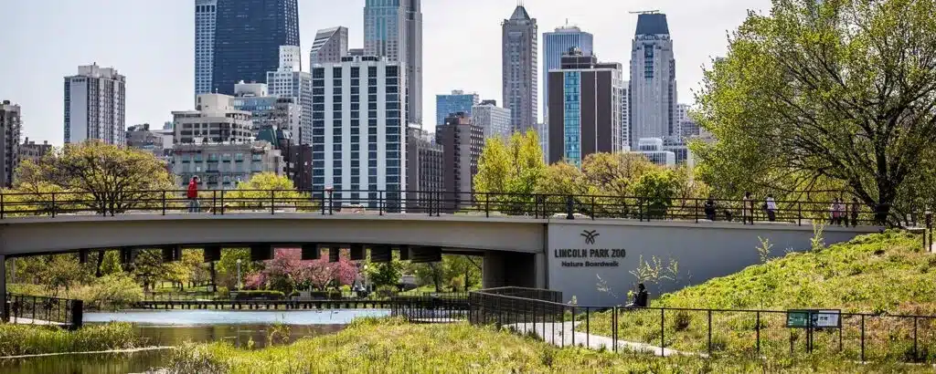 The Lincoln Park Zoo Nature Boardwalk with a pond, trees, walking paths, and Chicago’s skyline in the background.