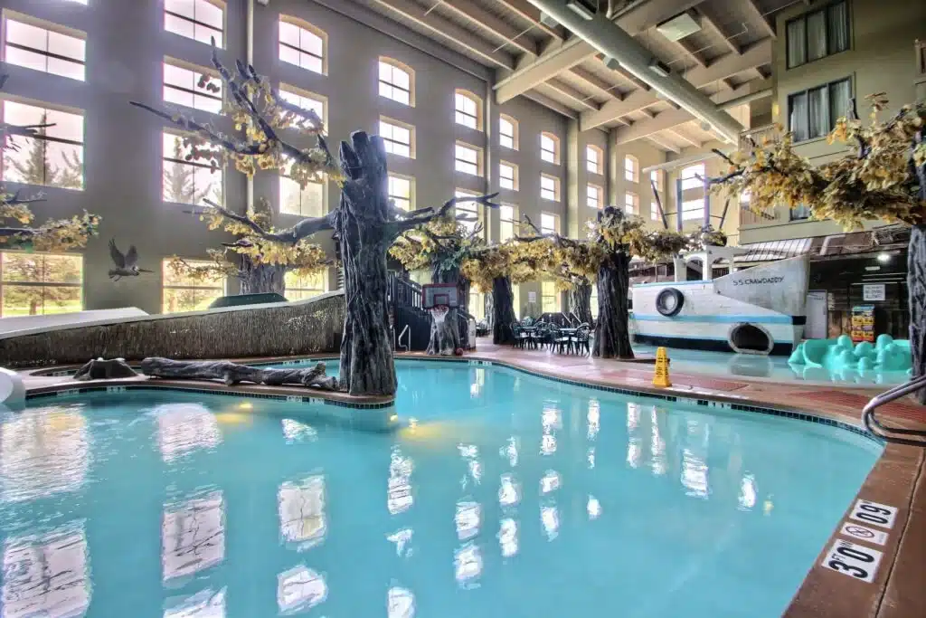 Warm indoor pool with tree features at Crawdaddy Cove in Madison