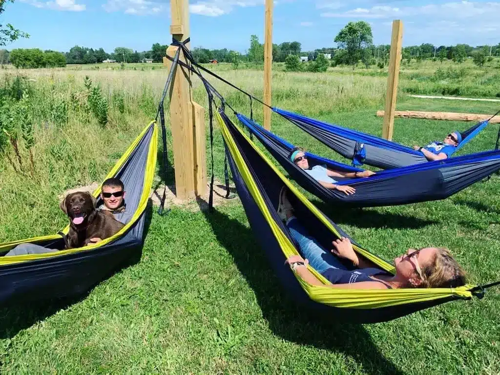 Four people relaxing in a hammock with a man with a brown dog