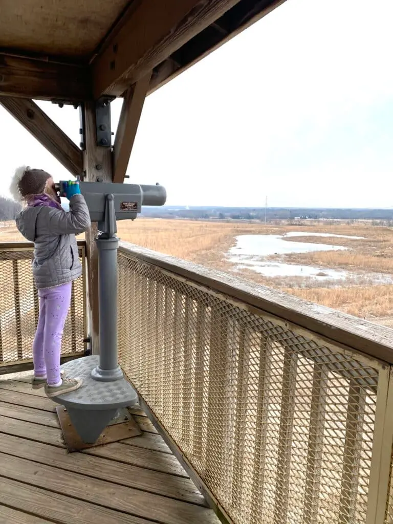 A child in grey jacket stand on a platform and looks at a built-in telescope