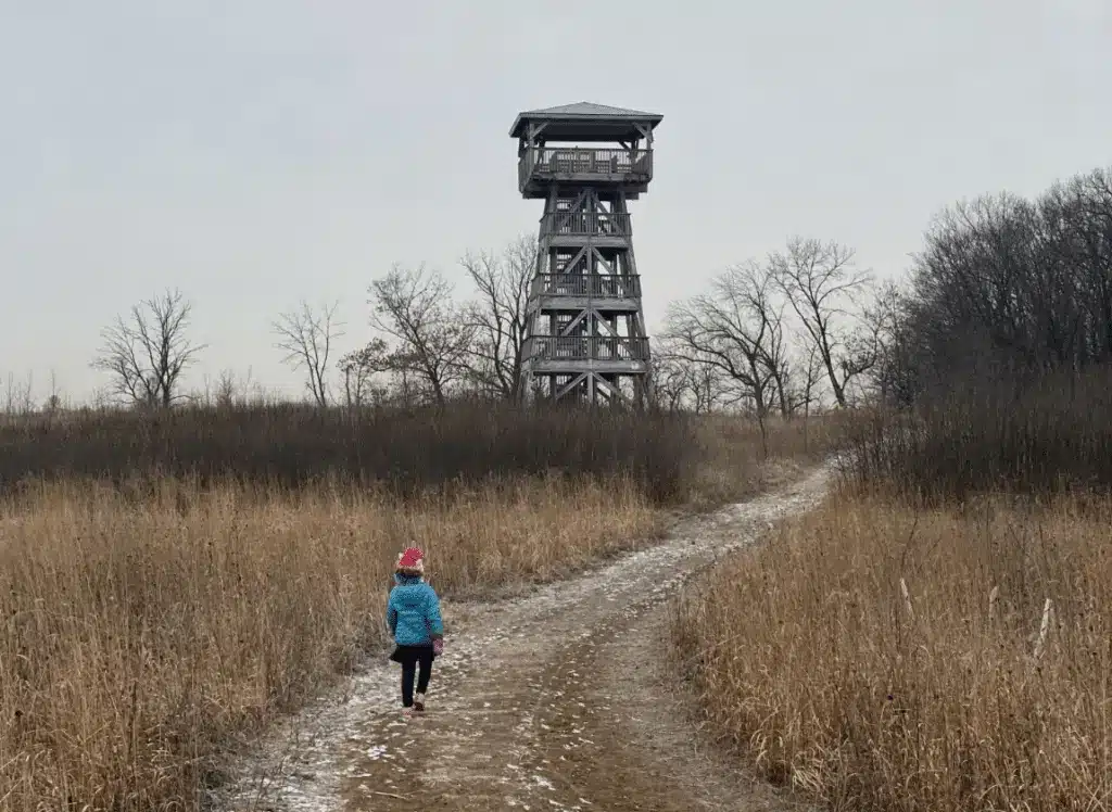 A child in blue jacket is walking on the trail towards the wooden observation deck