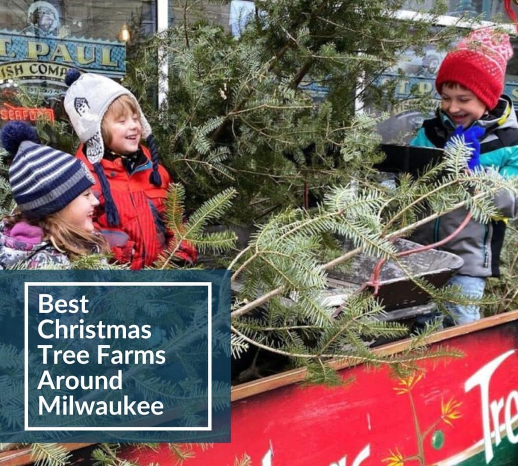 Kids helping load the Christmas tree to a wagon with a text insert Best Christmas Tree Farms Around Milwaukee,