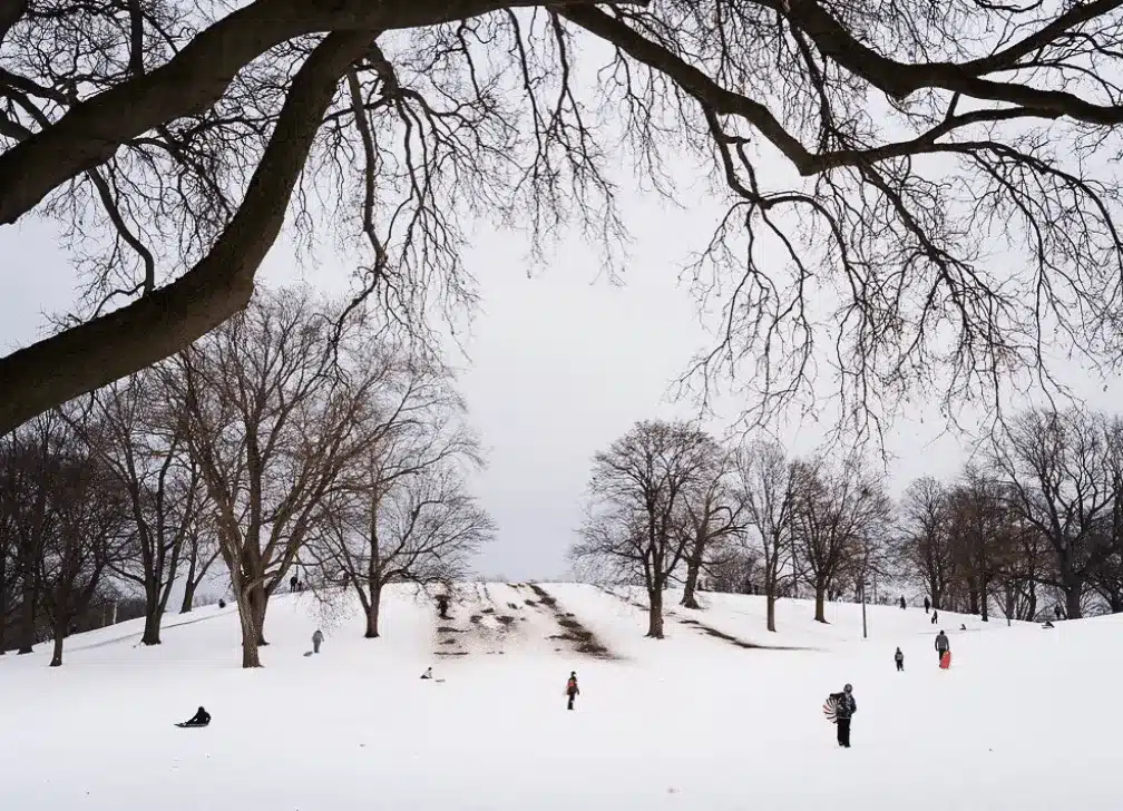 Wide sledding hill in Humboldt Park framed by leafless winter trees