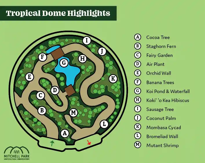Graphic map of the Tropical Dome highlighting various tropical plants