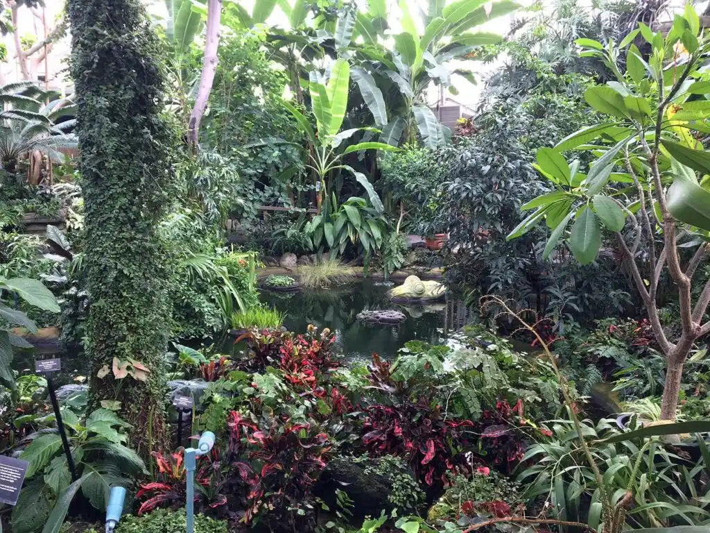 The Tropical Dome at the Mitchell Park Domes Milwaukee with lush plants and vegetation