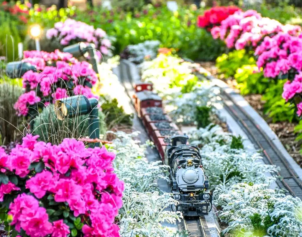 A miniature train on its tracks with some flowers on each side of the mini railroad track