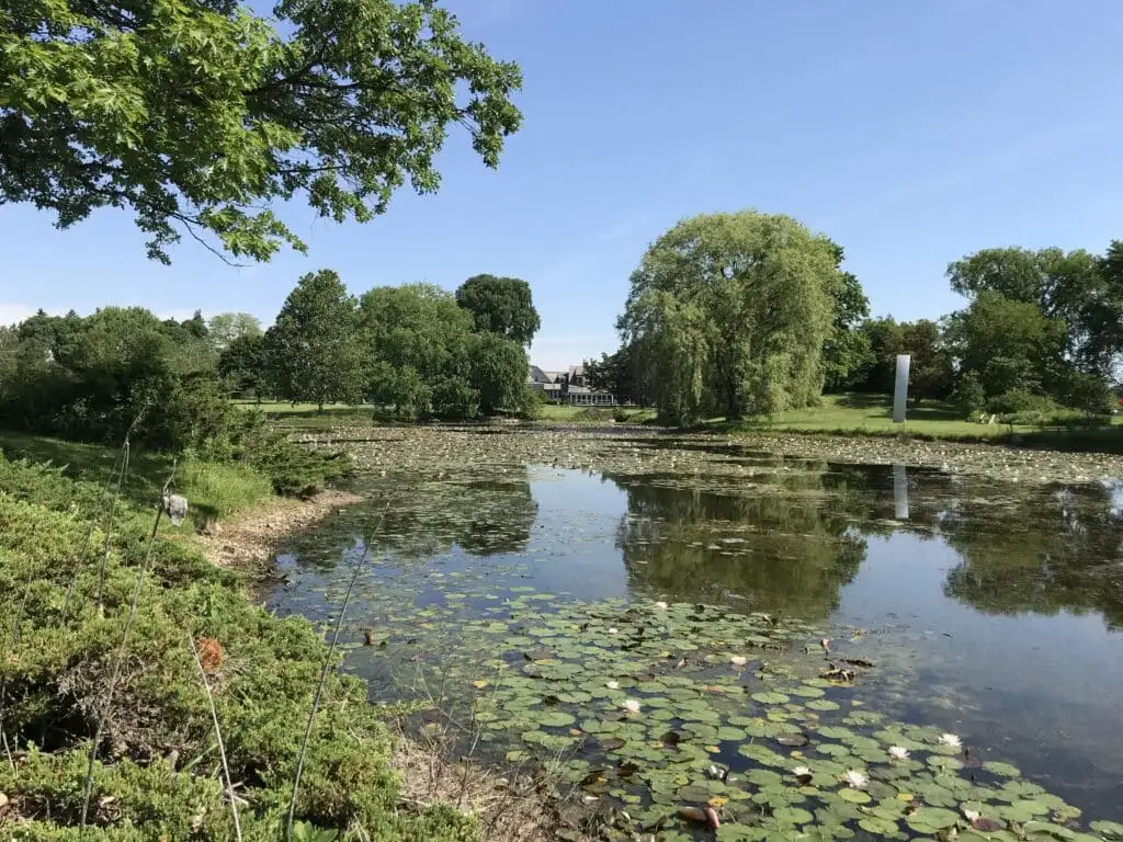 A pond with lilies at Lynden Sculpture Garden, surrounded by trees and a clear blue sky.