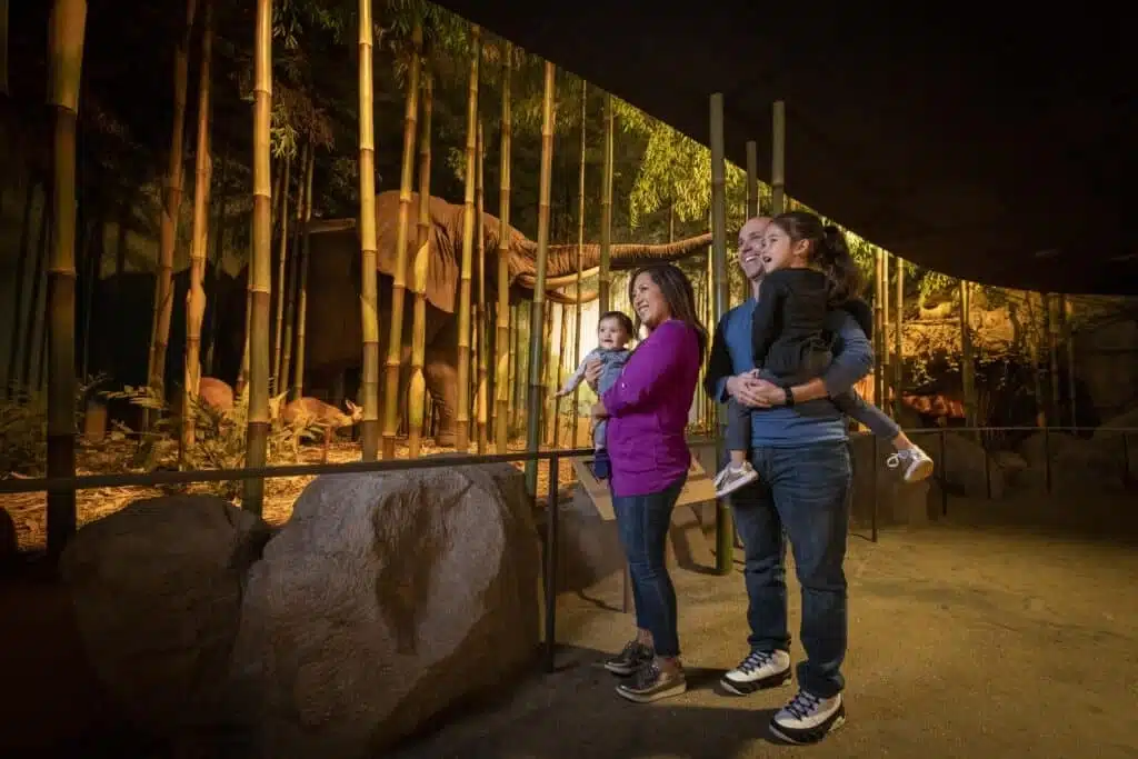A family enjoying the elephant exhibit